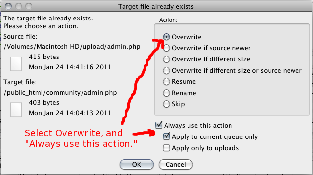DgBiP.png