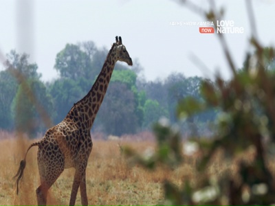lovenature4k.jpg