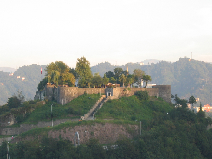 89.jpg